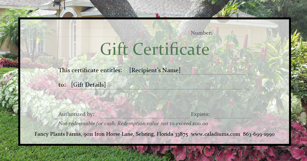 Fancy Plants Farms Gift Certificate